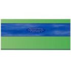 5 PACK SKY GREEN DUO READING RULER