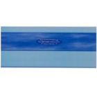 5 PACK SKY BLUE DUO READING RULER