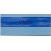 5 PACK SKY BLUE DUO READING RULER