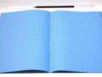 Tinted Sky A4 Grid books- Pack Of 10 Books