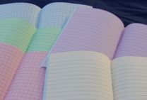 Purple Grid Tinted Exercise Book (10 pk)