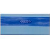 5 PACK SKY BLUE DUO READING RULER