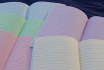 Pink Grid Tinted Exercise Book (10 pk)