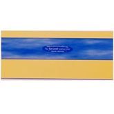 5 PACK YELLOW DUO READING RULER