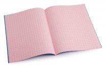 Tinted Grid Rose A4 Exercise books- Pack Of 10 Books