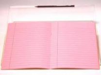 Tinted Lined Rose A4 Exercise books- Pack Of 10 Books