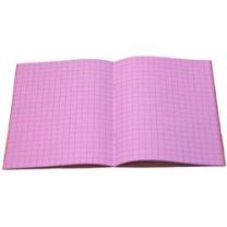 Tinted Grid Purple A4 Exercise Book Pack Of 10